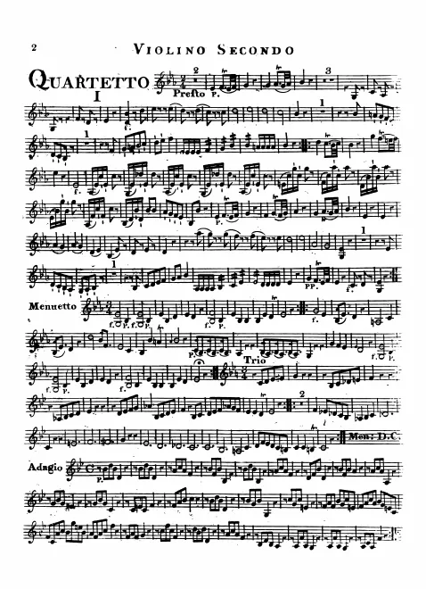 Violin 2