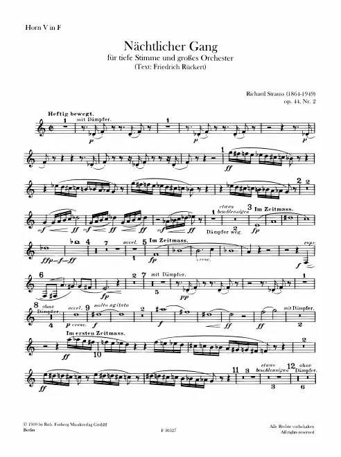 Horn 5 (F)