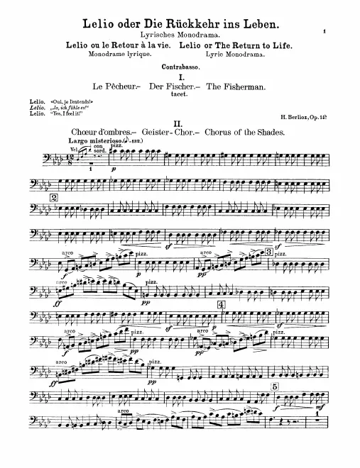 Basses