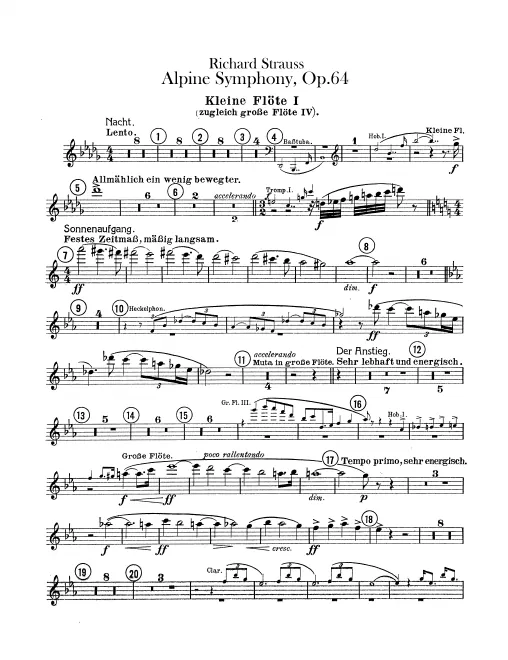 Flute 4/Piccolo 1