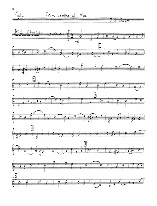 Violas