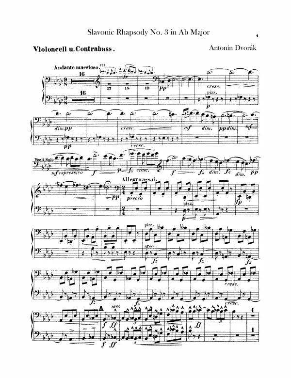 Cellos / Basses