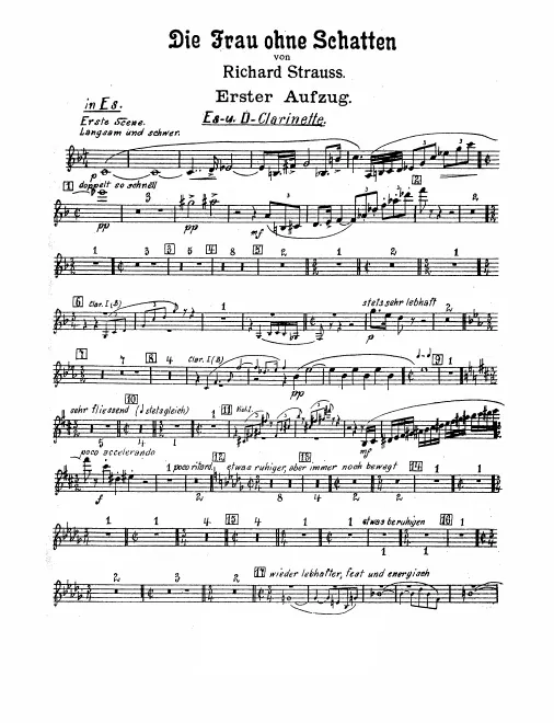 Piccolo Clarinet (E/D)