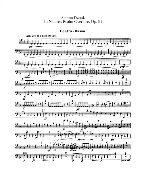 Basses