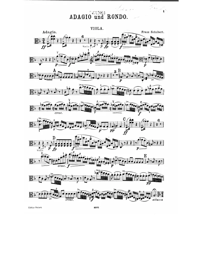 Viola
