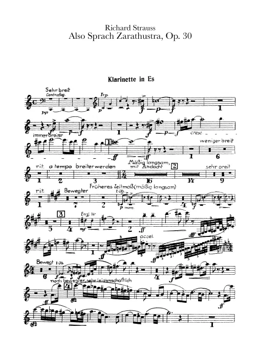 Piccolo Clarinet (E)