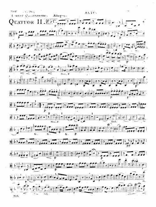 Viola