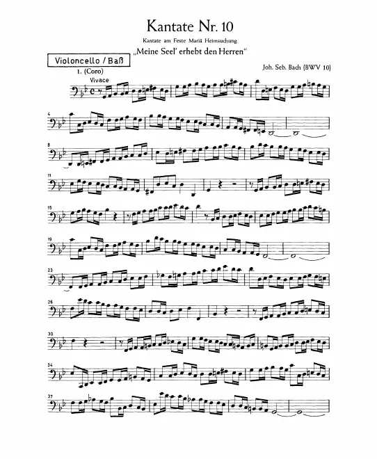 Cellos/Basses