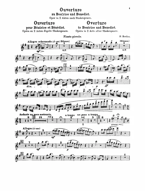 Piccolo, Flute