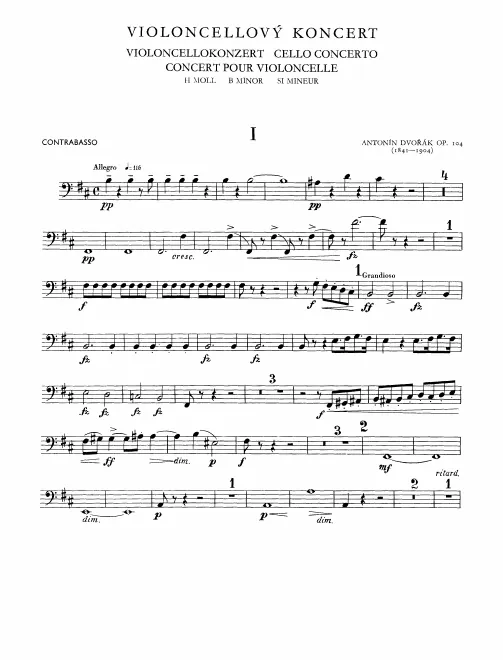 Basses