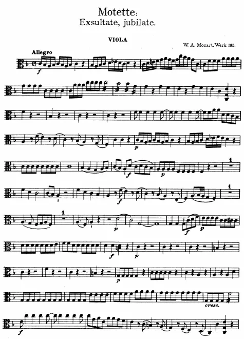 Violas