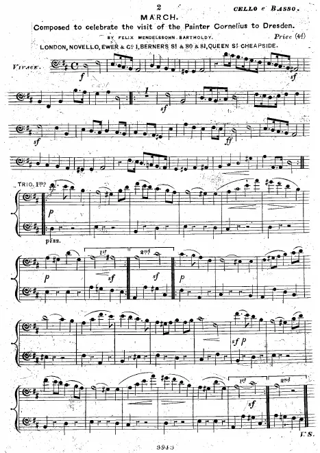 Cellos/Basses