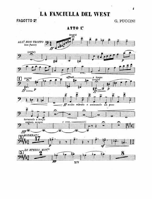 Bassoon 2