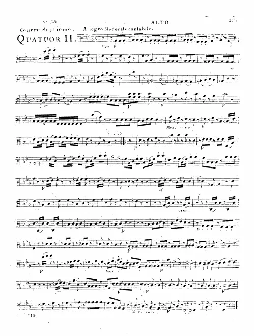 Viola