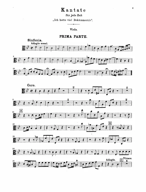Violas