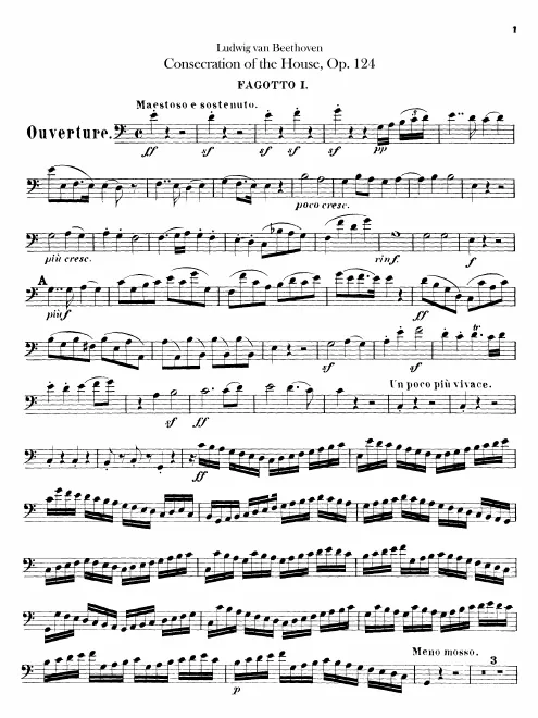 Bassoon 1, 2