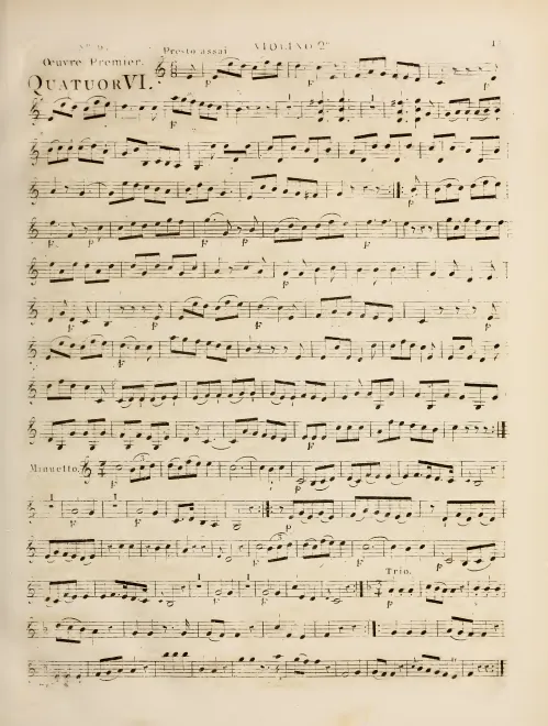 Violin 2
