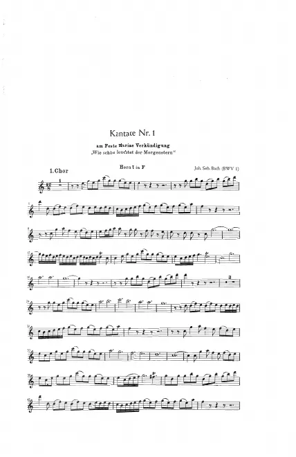 Horn 1