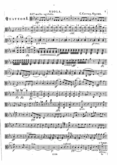 Viola