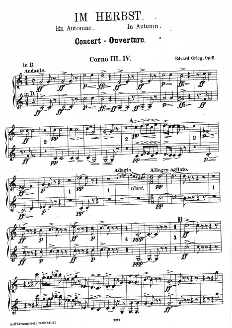 Horn 3/4 (D)