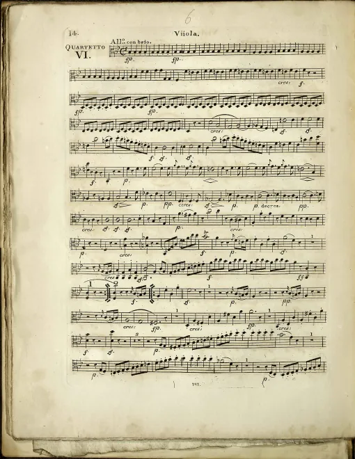 Viola
