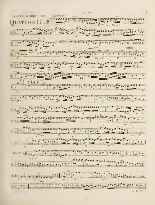 Viola
