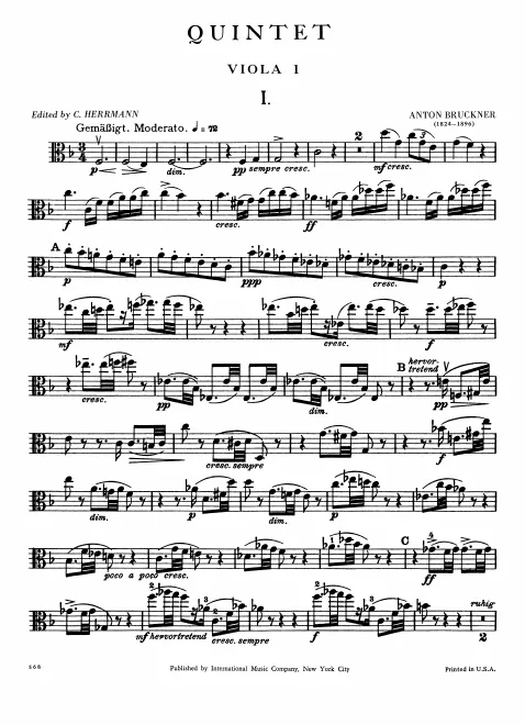 Viola 1