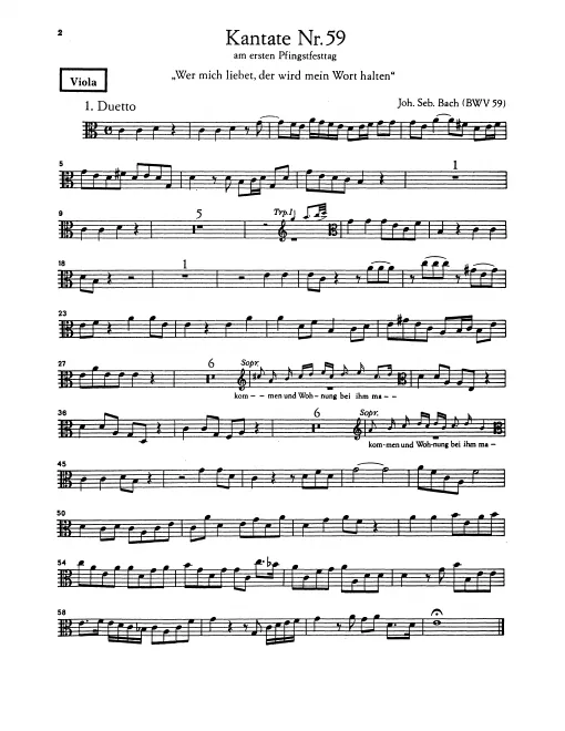 Violas