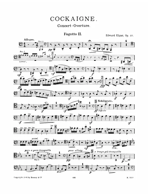Bassoon 2