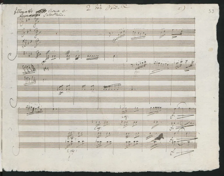 2. Allegretto vivace e sempre scherzando