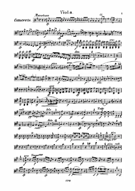 Violas