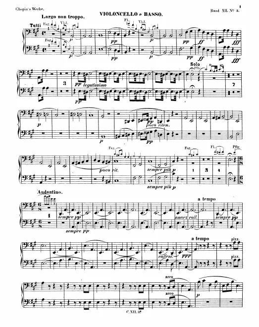 Cellos/Basses
