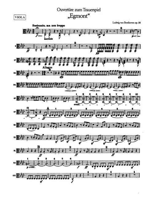 Violas