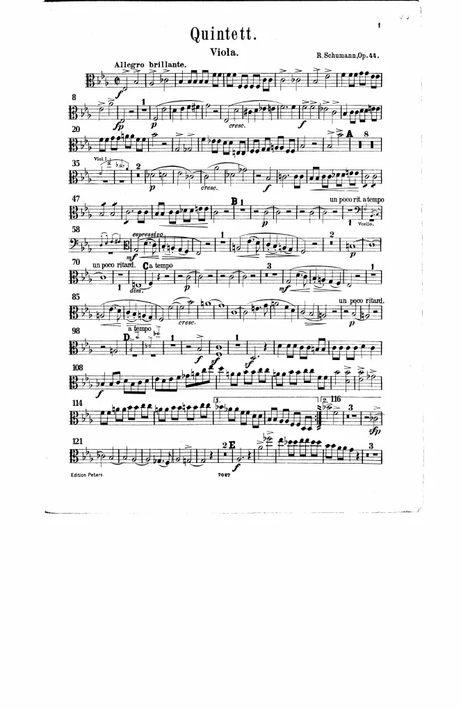 Viola