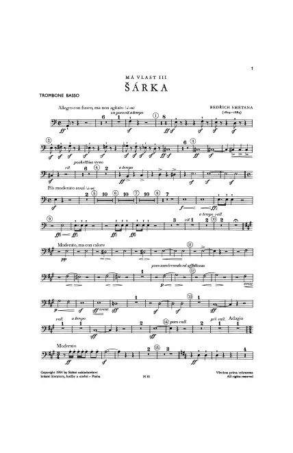 Bass Trombone