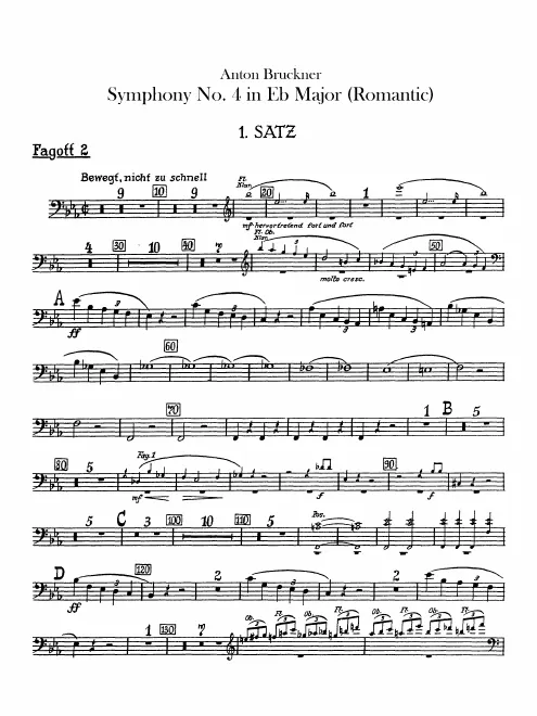 Bassoon 2