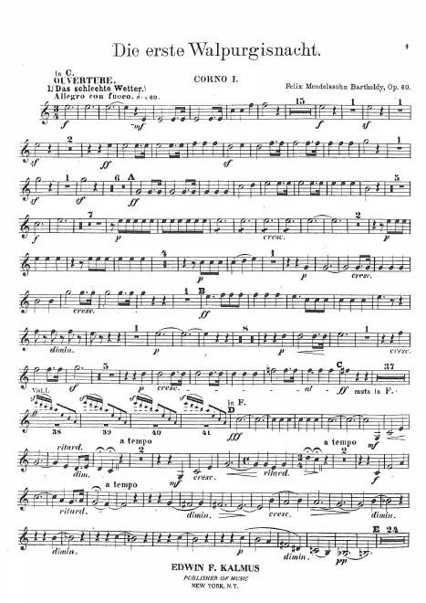 Horn 1 (C/F/E/D)