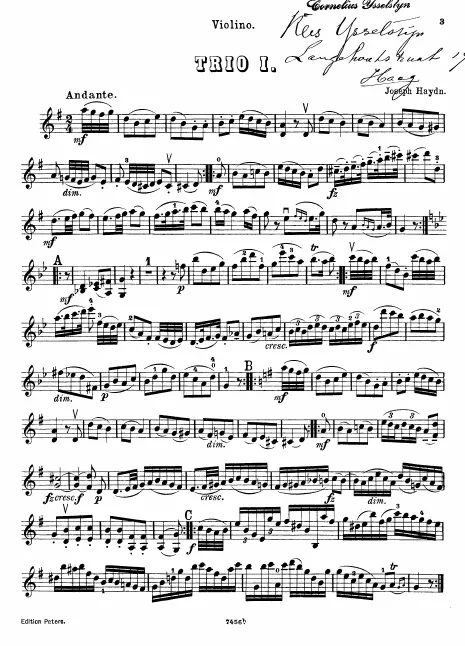 Violin