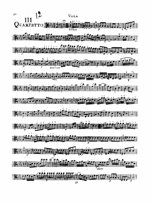 Viola