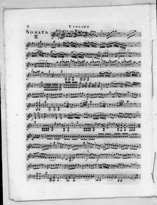 Violin
