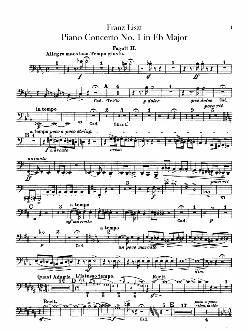 Bassoon 2
