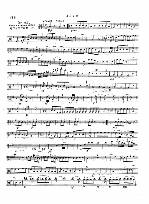 Viola