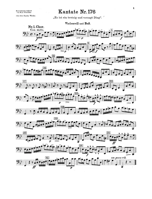Cellos/Basses