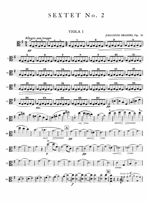 Viola 1