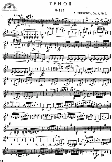 Violin