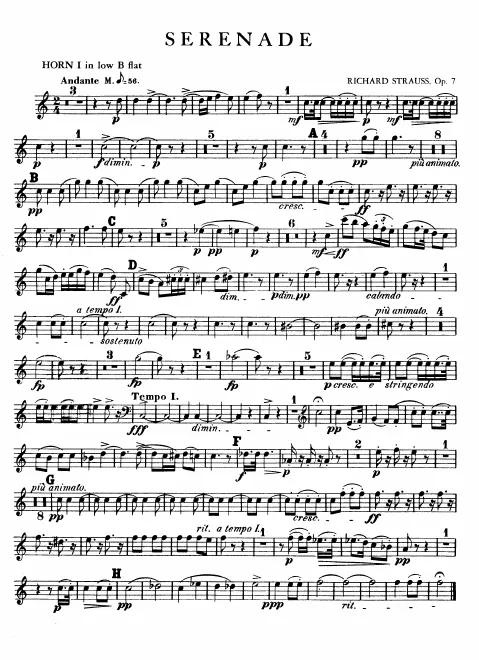 Horn 3, 4 (B)