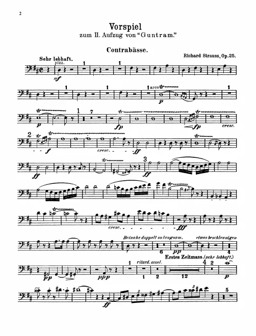 Basses