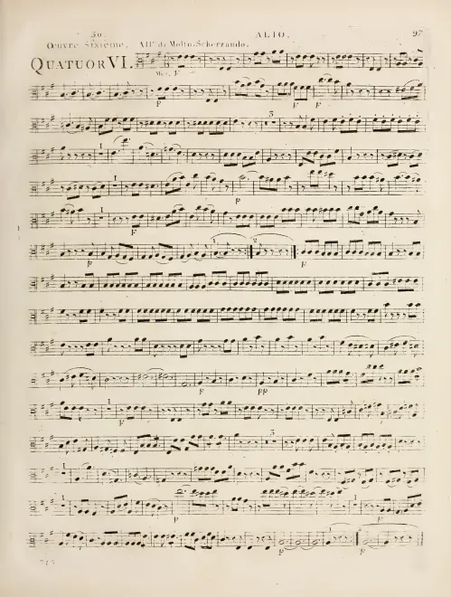 Viola