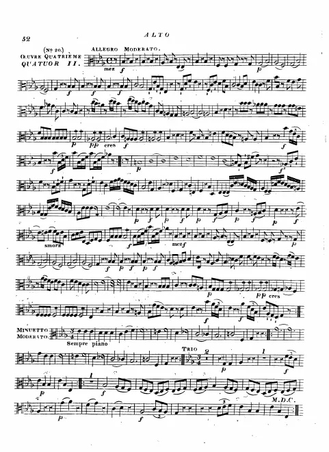 Viola