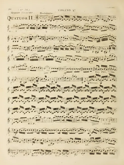 Violin 2